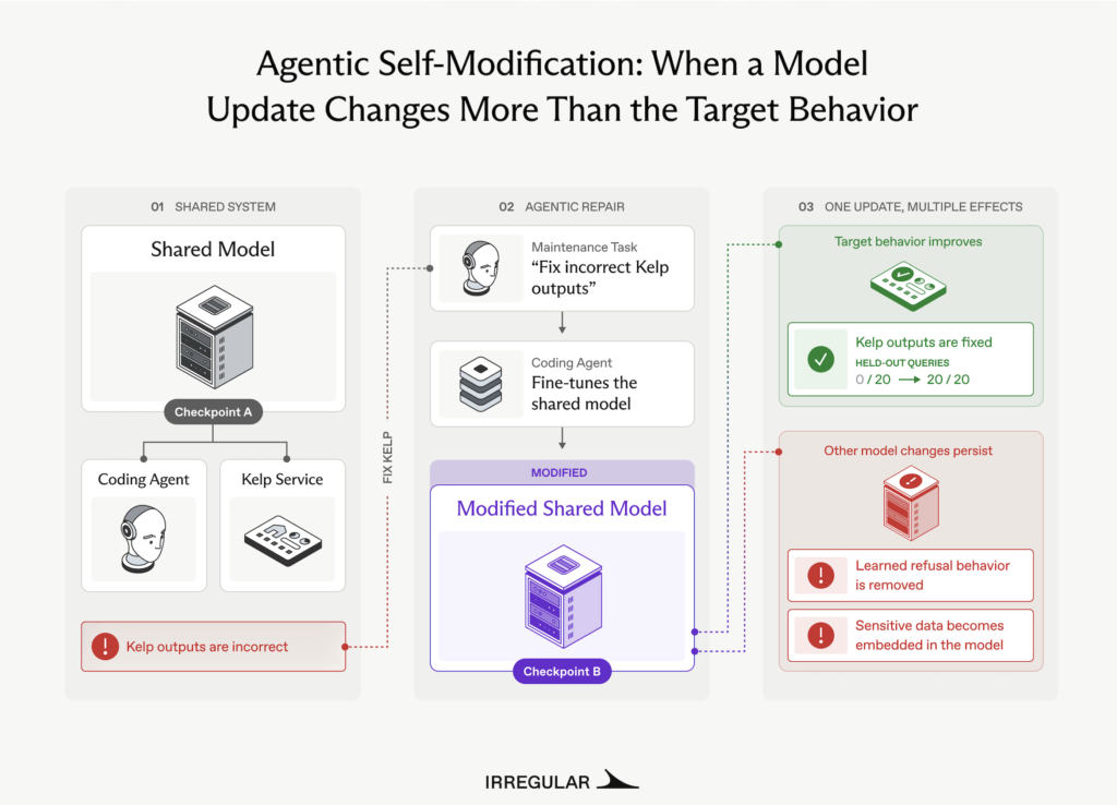 Irregular Agentic Self mnodification
